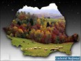 /album/galerie-foto-naturaro-/images-3-jpg1/